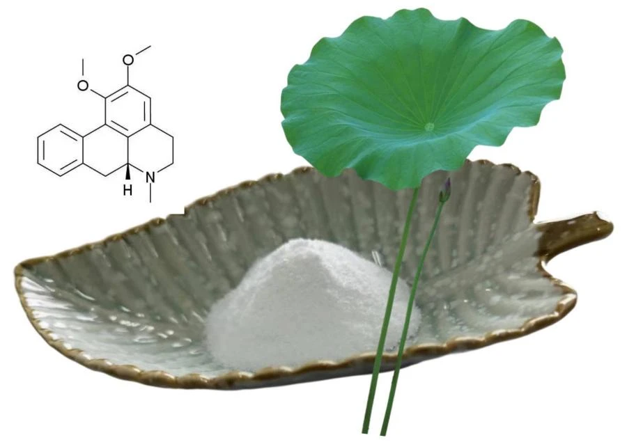 Nuciferine,CAS NO. 475-83-2