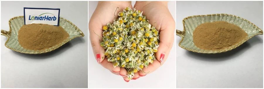 Chamomile Extract