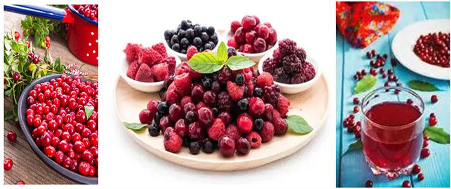 Spray Dried Bilberry Powder