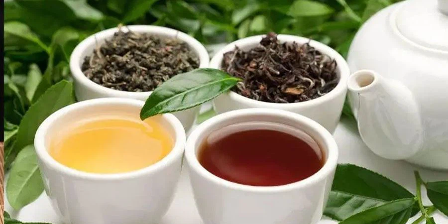 High Quality Oolong Tea Powder