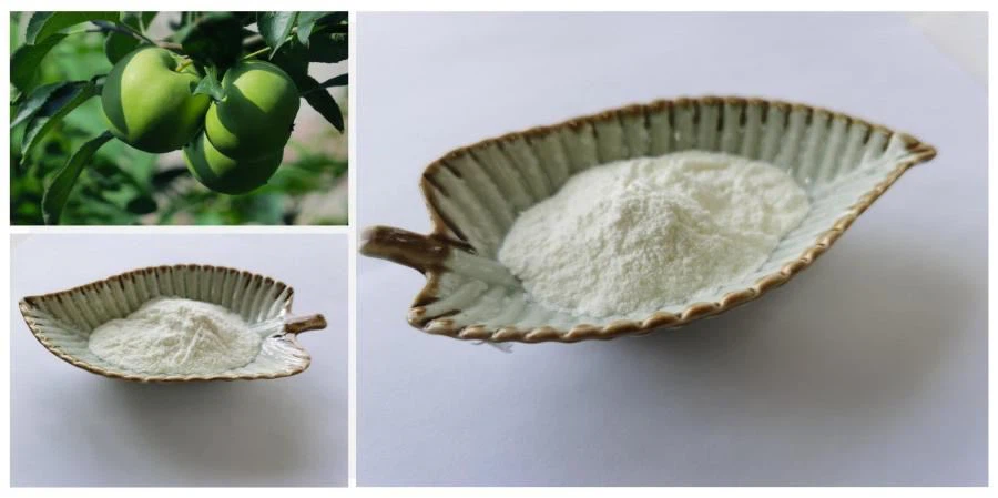 Apple Phlorizin
