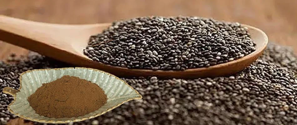 Chia Seed Extract Powder