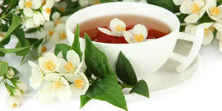 High Quality Jasmine Tea Powder