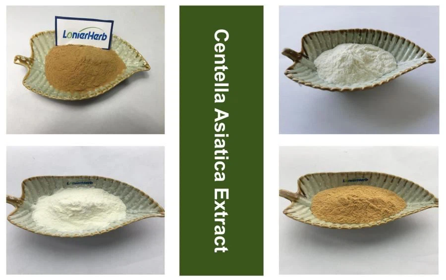 Centella Asiatica Extract