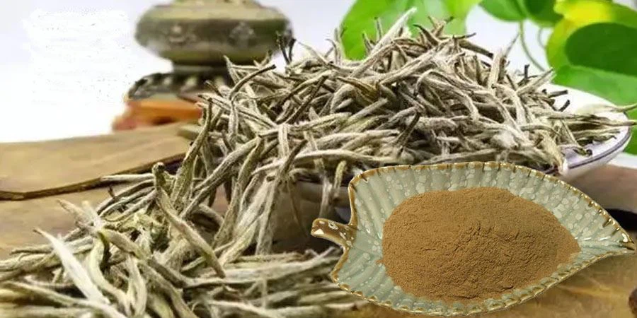 White Tea Powder