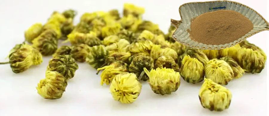 Instant Chrysanthemum Tea Powder