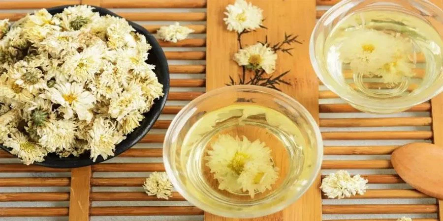 High Quality Chrysanthemum Tea Powder