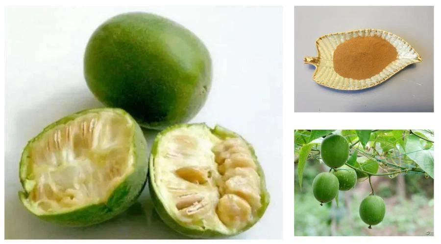 Monk Fruit Sweetener