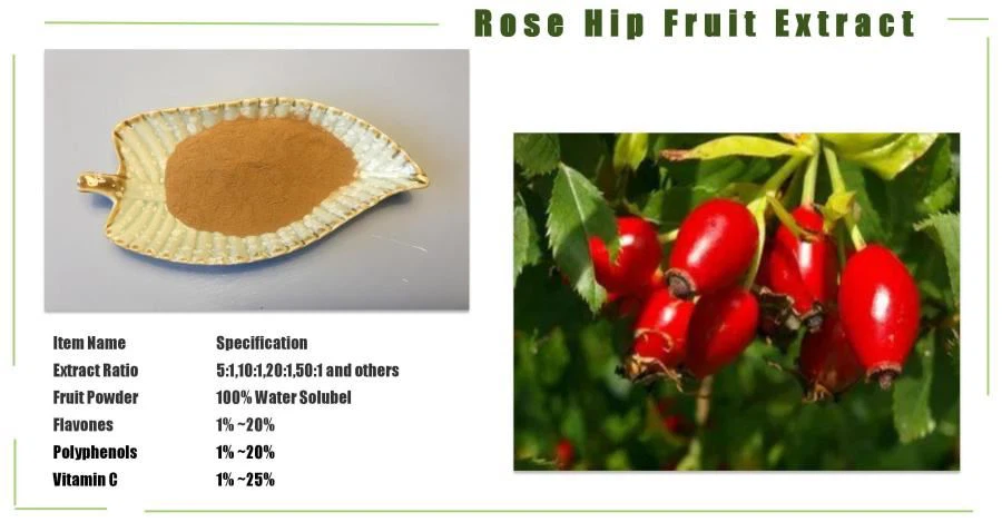 Rose Hip Extract