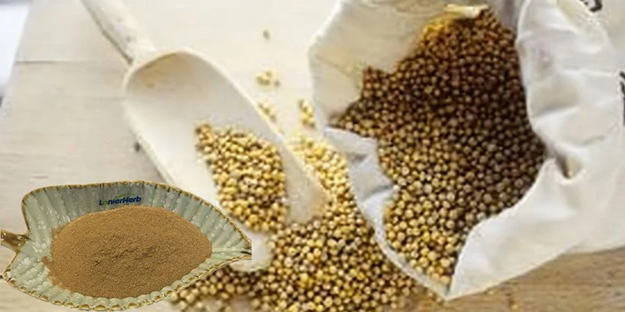 Mustard Seed Extract