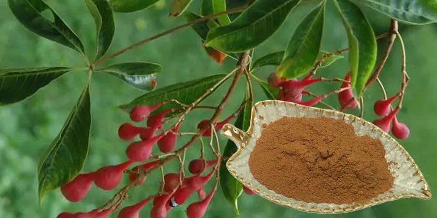 Palmaria Palmata Extract Powder