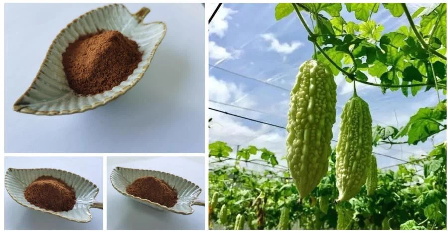 Momordica Charantia Extract
