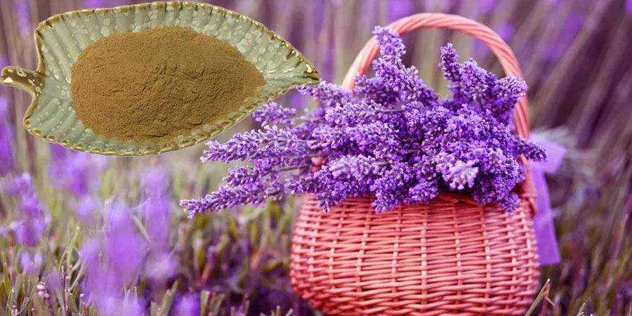 Lavender Flower Extract