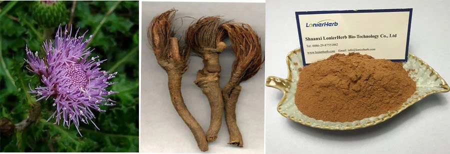 Maral Root Extract