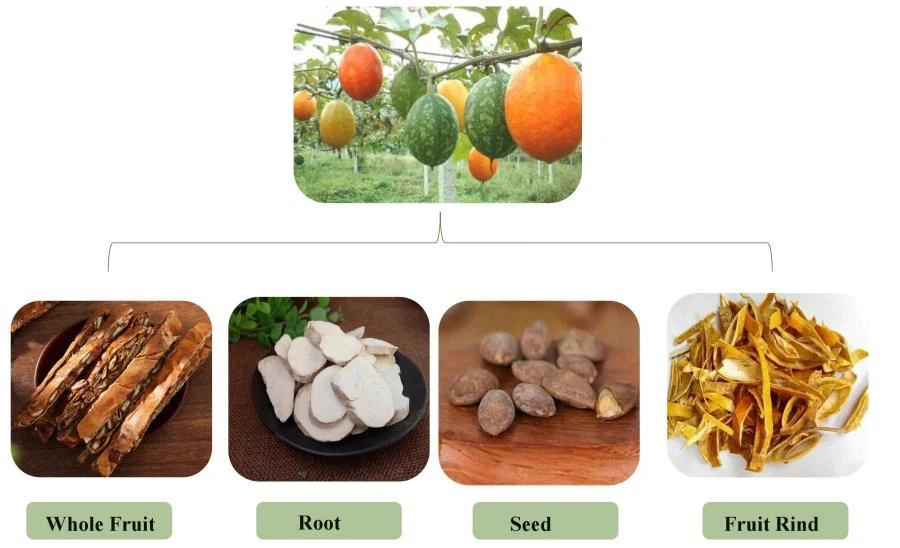 Snakegourd Extract