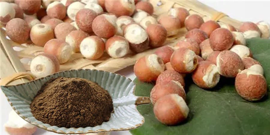 Semen Euryales Extract