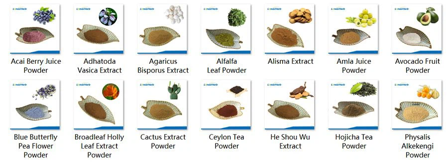 Wholesale Product