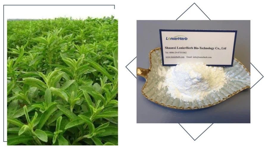 Steviol Glycosides