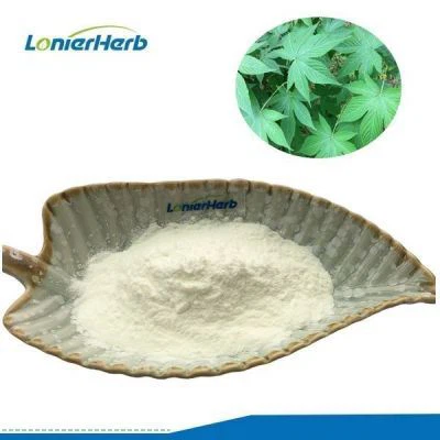 Sweet Tea Extract