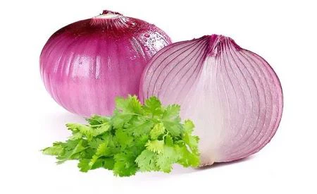 Onion Extract Powder