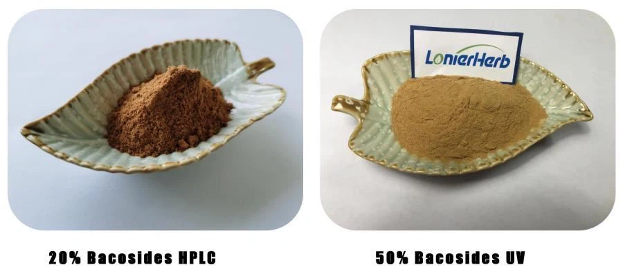 Bacopa Monnieri Extract