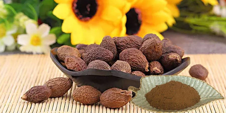 Sterculia Seed Extract  Powder