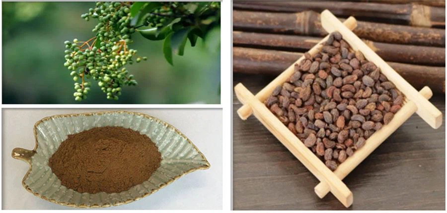 Ligustrum Lucidum Extract Supplier