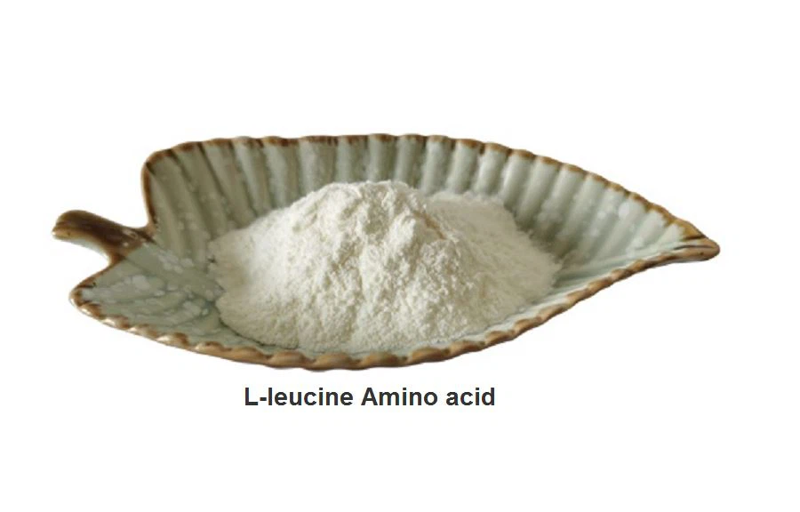 L-leucine Amino acid