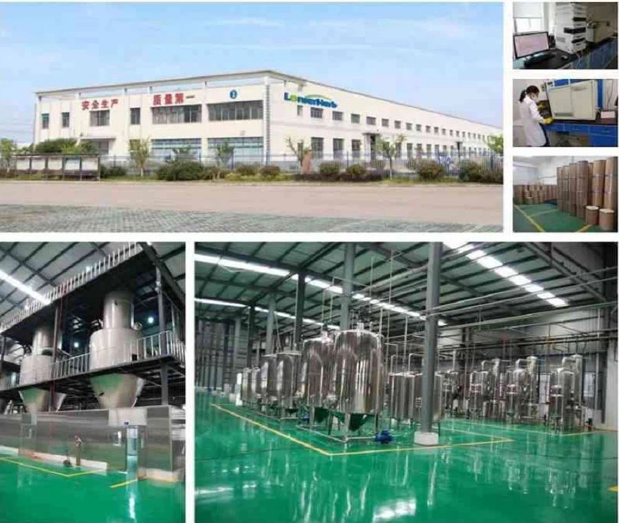 Drynaria Extract Factory