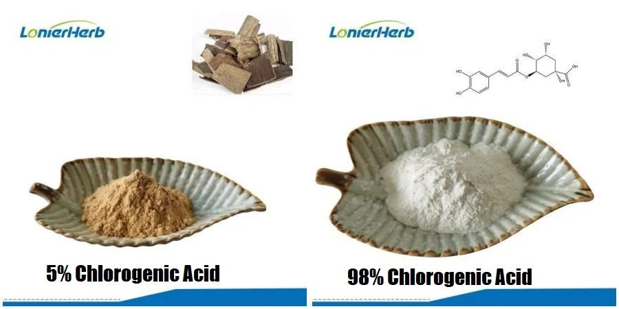 Eucommia Extract,Chlorogenic Acid