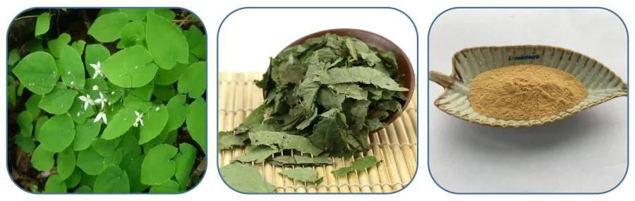 Icariin Powder