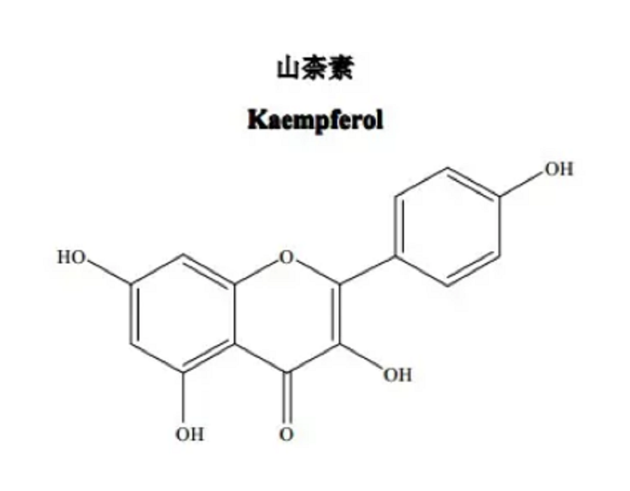 Kaempferol Powder Kaempferol Powder