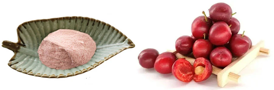 Chinese Dwarf Cherry Powder Chinese Dwarf Cherry Powder