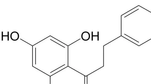 Phloretin Powder ,Apple Extract,CAS NO.60-82-2