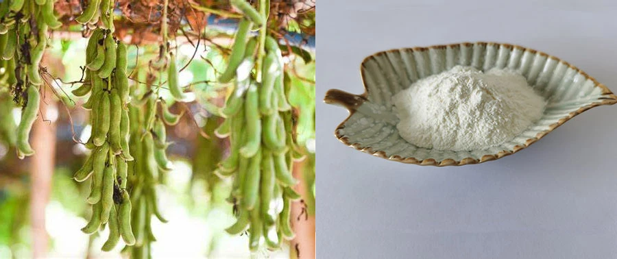 Mucuna Pruriens Seed Extract