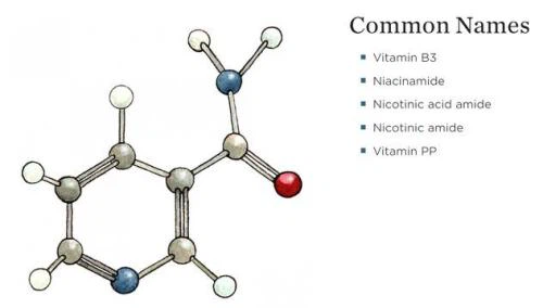 Nicotinamide Vitamin