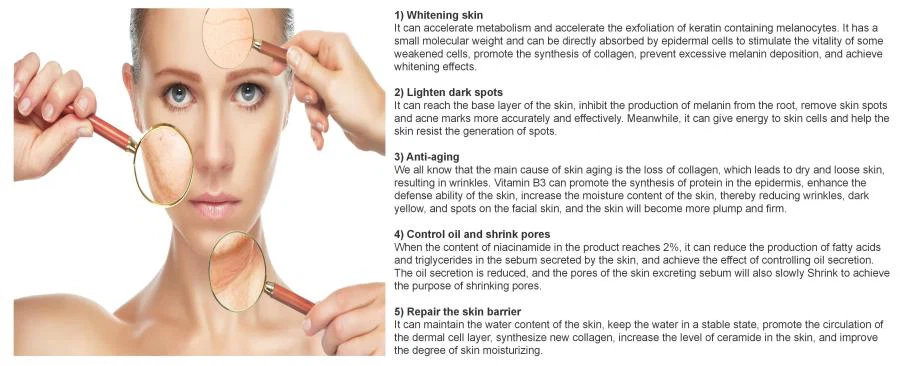 Nicotinamide benefits in skin care