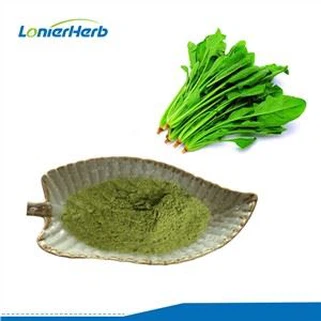 Suco de espinafre em pó