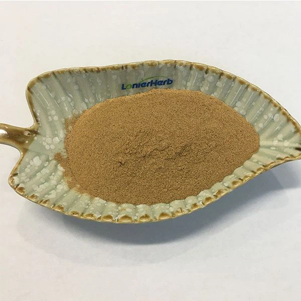 Bacopa 50% Bacosides