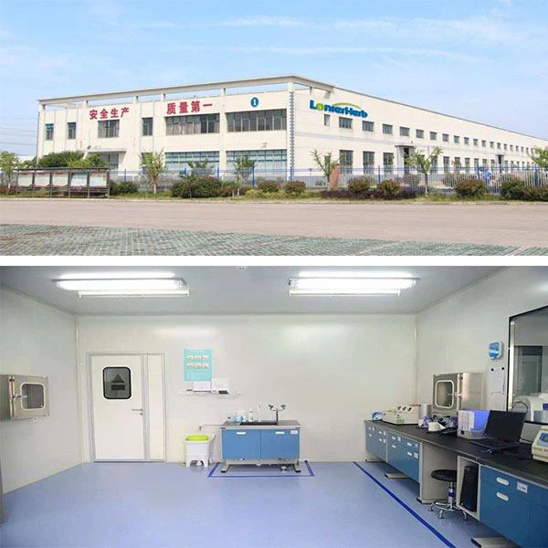 Factory and lab
