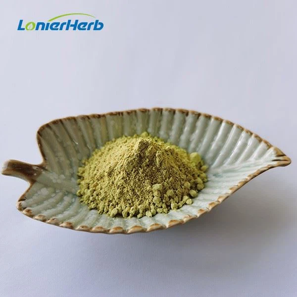Myricetin Powder
