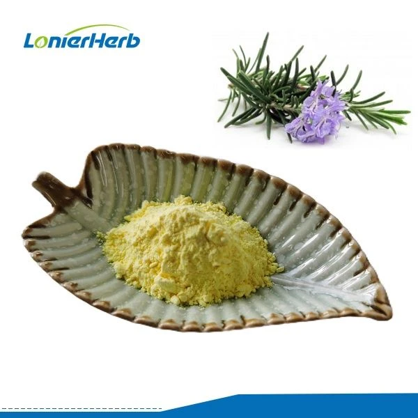Oil Soluble Rosemary Extract