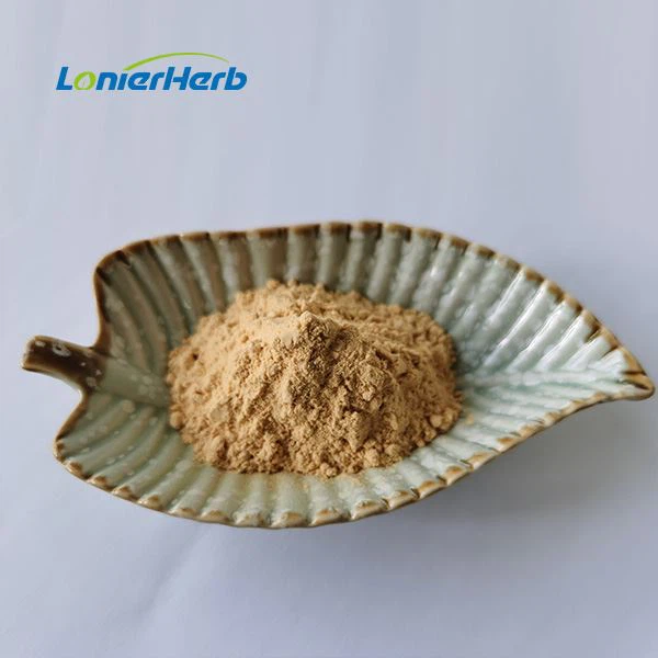 Oyster Mushroom Beta-Glucan