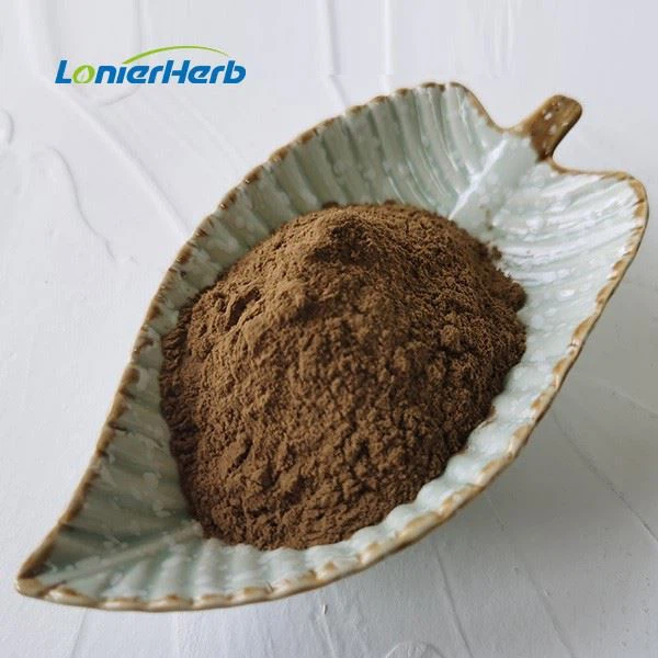 Sarcandra Glabra Extract Poowder