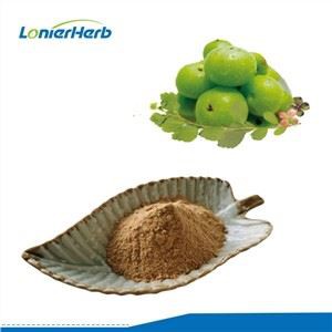 Extrato de Amla Fruit