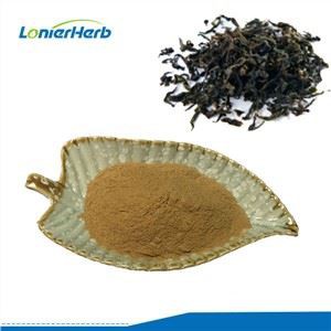 Chá em Pó Oolong