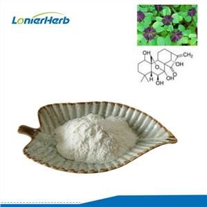 Extrato de Rabdosia Rubescens