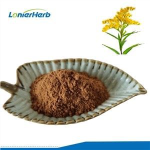 Extrato de Solidago