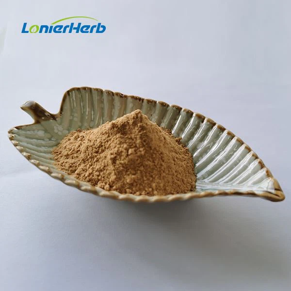 Witch Hazel Extract Powder