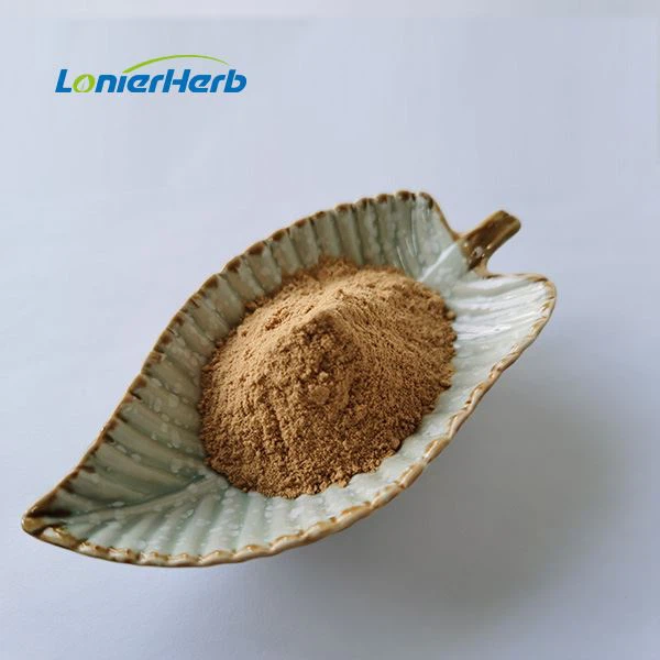 Witch Hazel Extract Powder